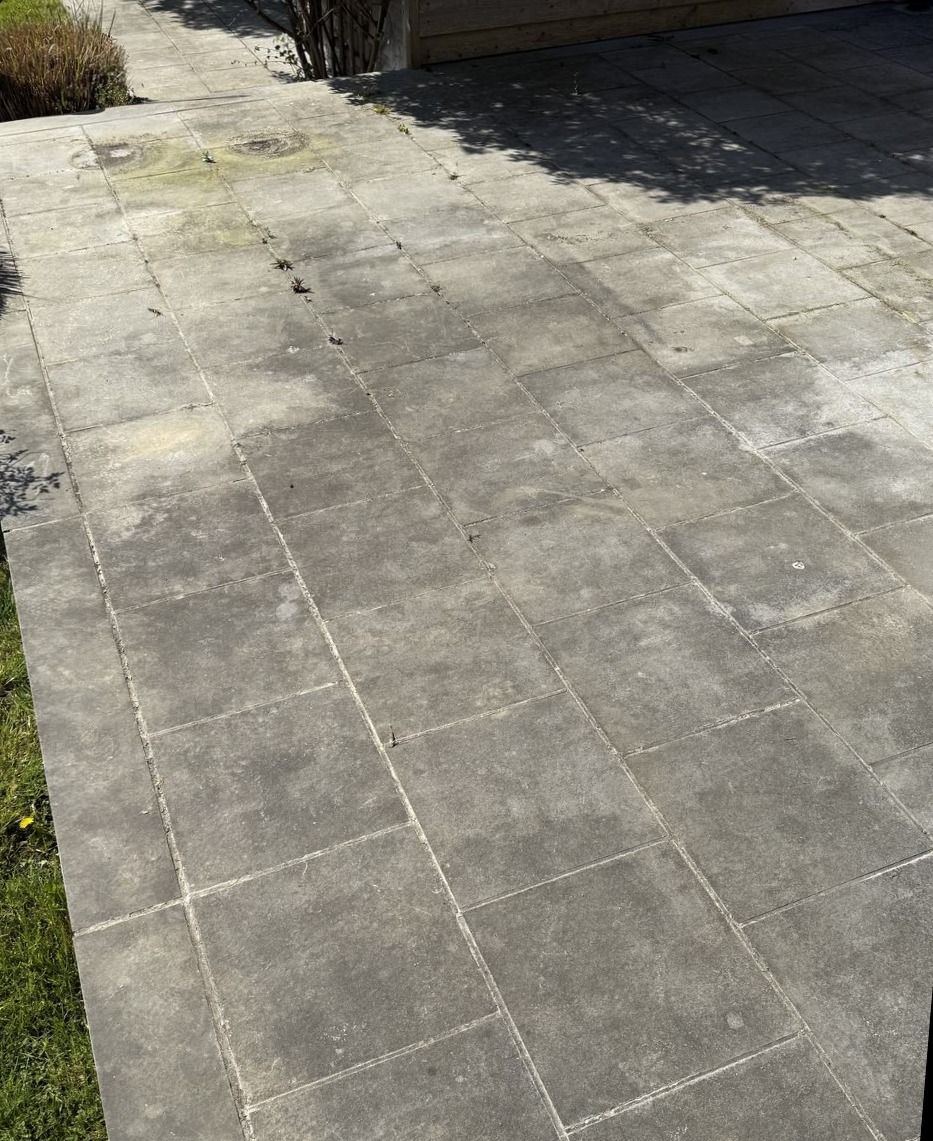 Bluestone patio before cleaning, dull and faded