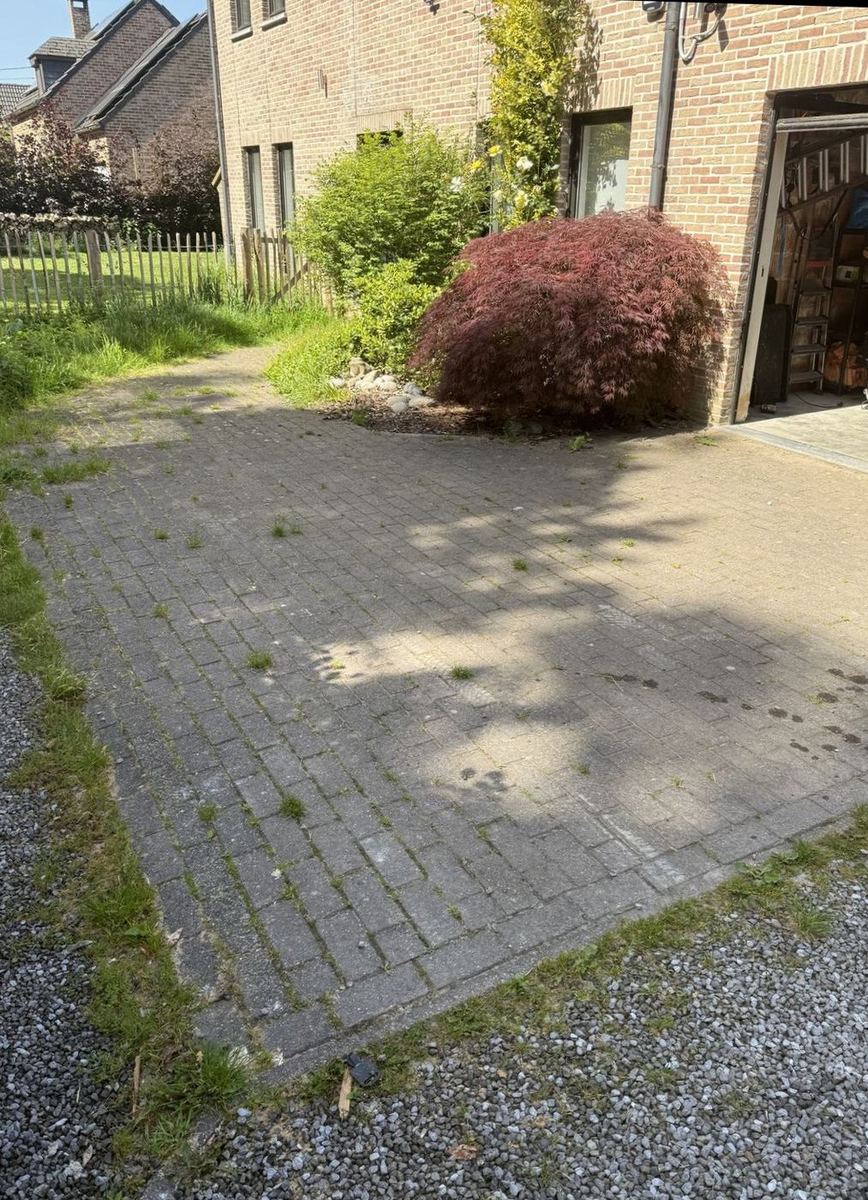 Driveway before cleaning, weeds between pavers