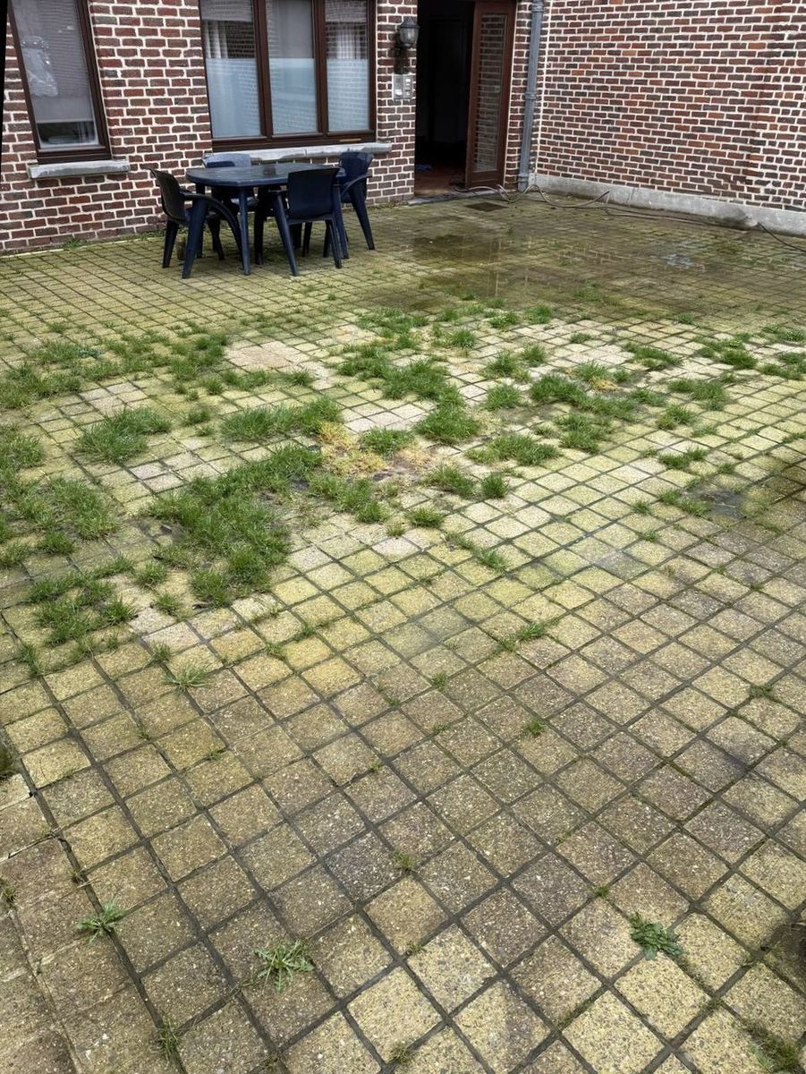 Paver patio before cleaning, grass growing between joints