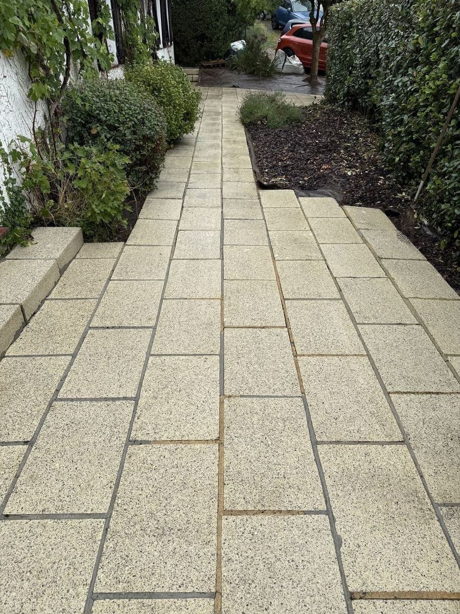 Stone pathway after cleaning