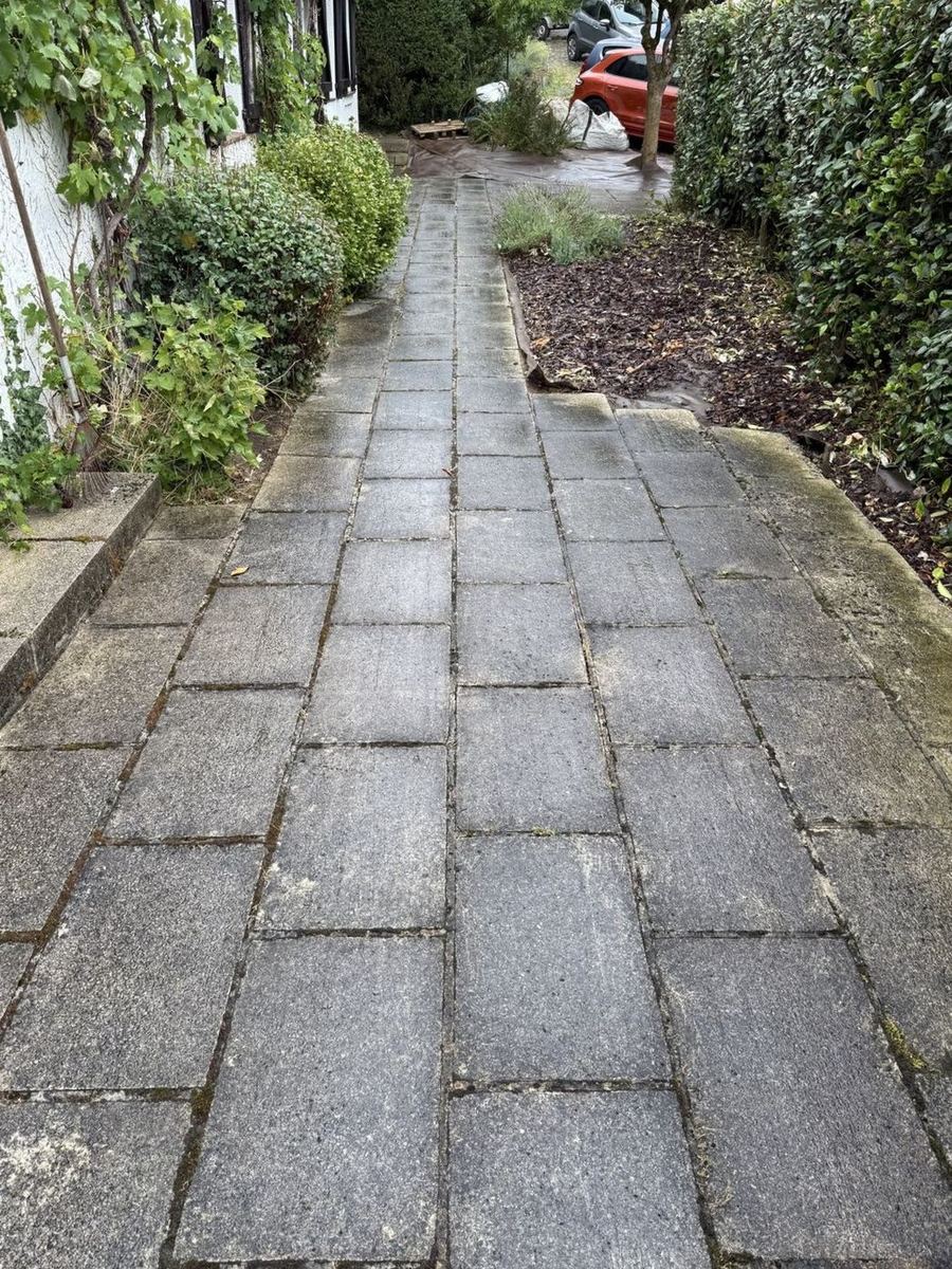 Stone pathway before cleaning
