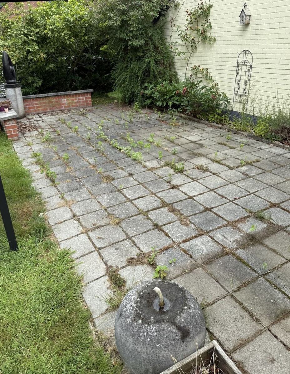 Paver patio before cleaning, overgrown with weeds