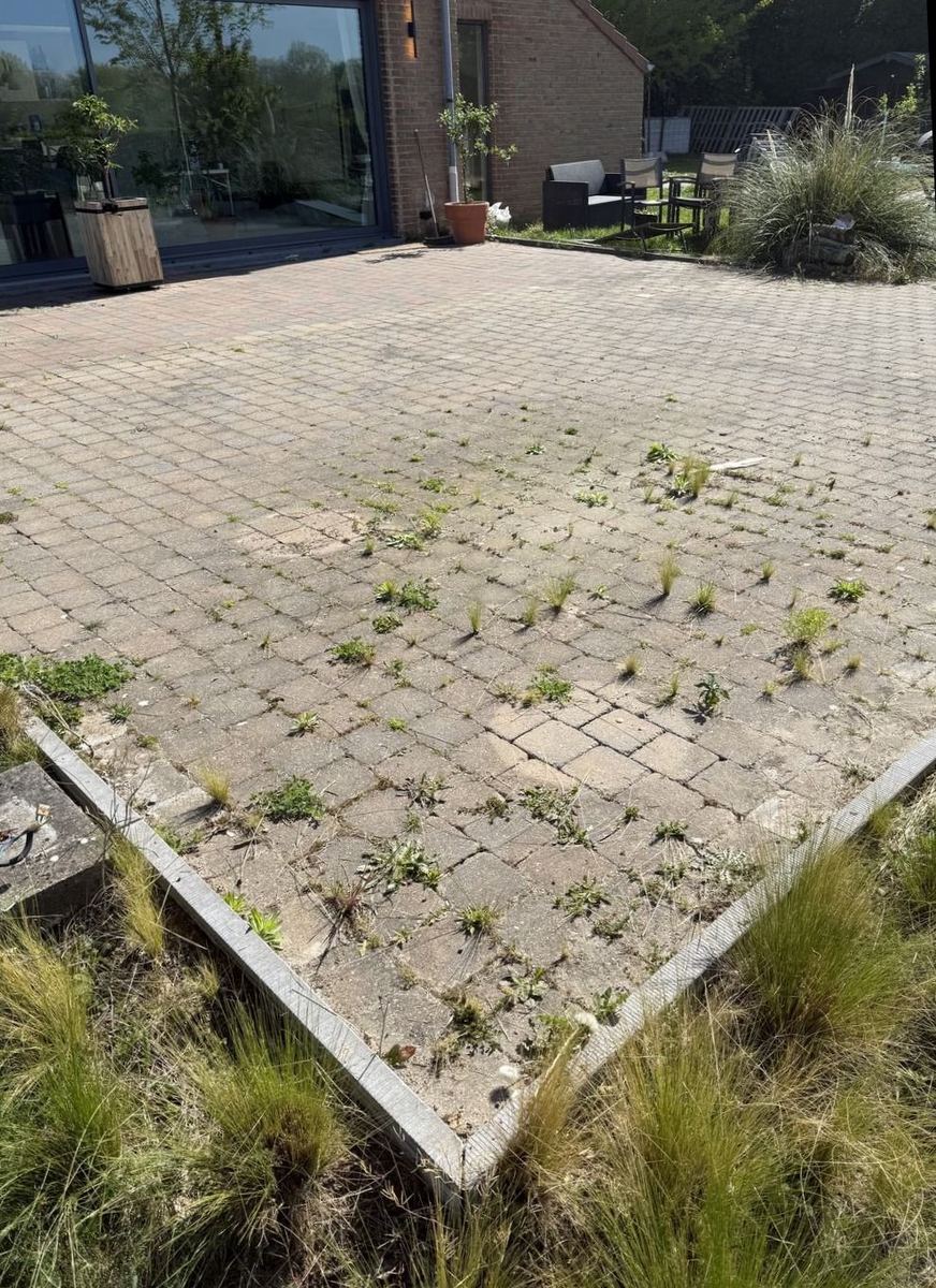 Paver patio before cleaning, overrun with weeds